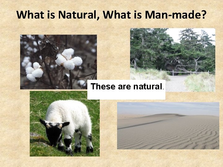 What is Natural, What is Man-made? These are natural. 