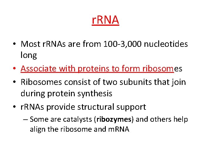 r. RNA • Most r. RNAs are from 100 -3, 000 nucleotides long •