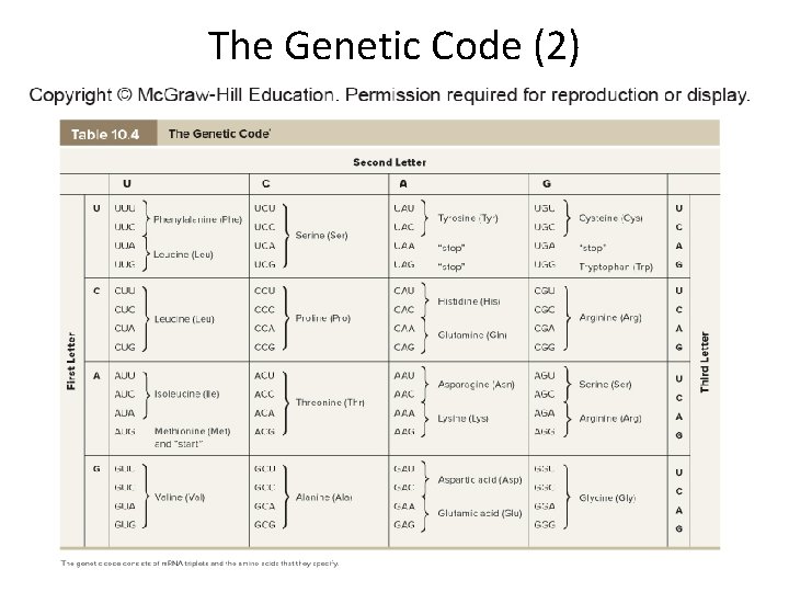 The Genetic Code (2) 
