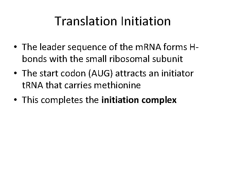Translation Initiation • The leader sequence of the m. RNA forms Hbonds with the