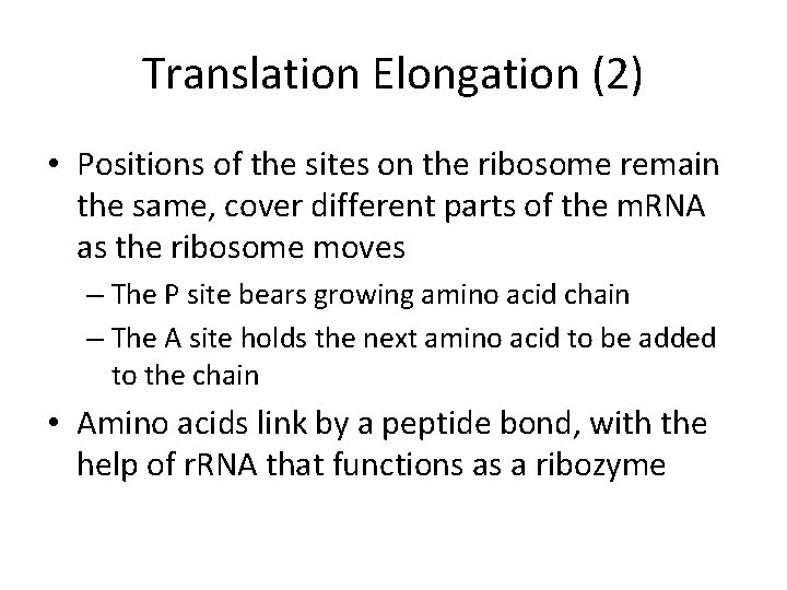 Translation Elongation (2) • Positions of the sites on the ribosome remain the same,