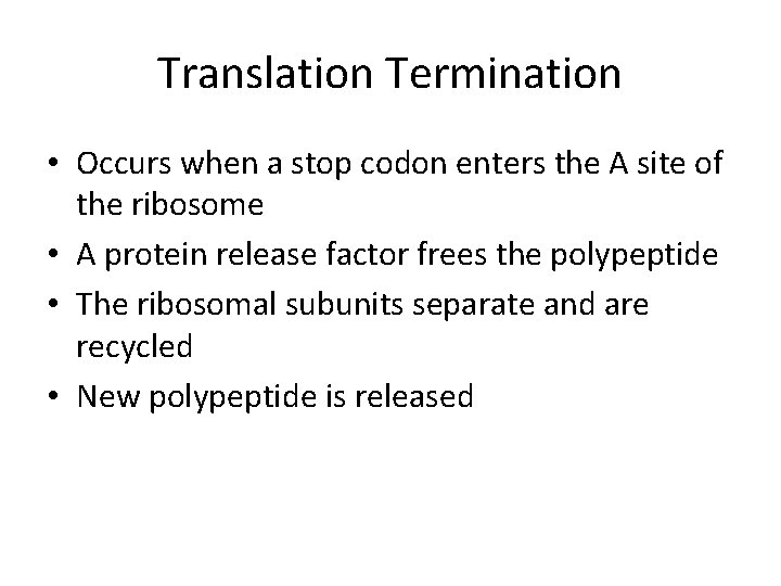 Translation Termination • Occurs when a stop codon enters the A site of the