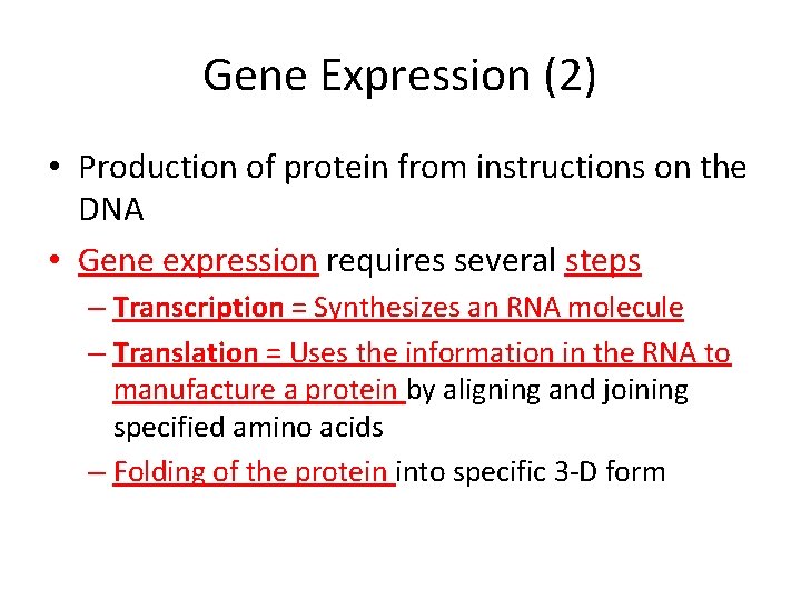 Gene Expression (2) • Production of protein from instructions on the DNA • Gene