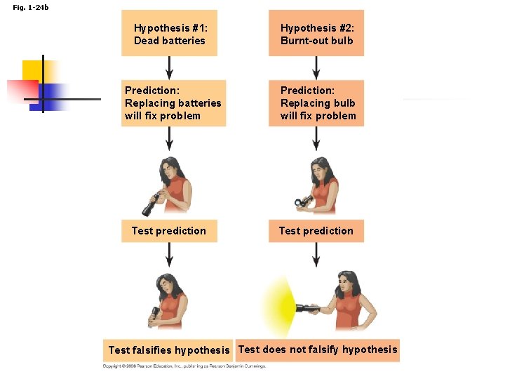 Fig. 1 -24 b Hypothesis #1: Dead batteries Hypothesis #2: Burnt-out bulb Prediction: Replacing