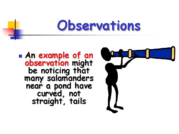 Observations n An example of an observation might be noticing that many salamanders near