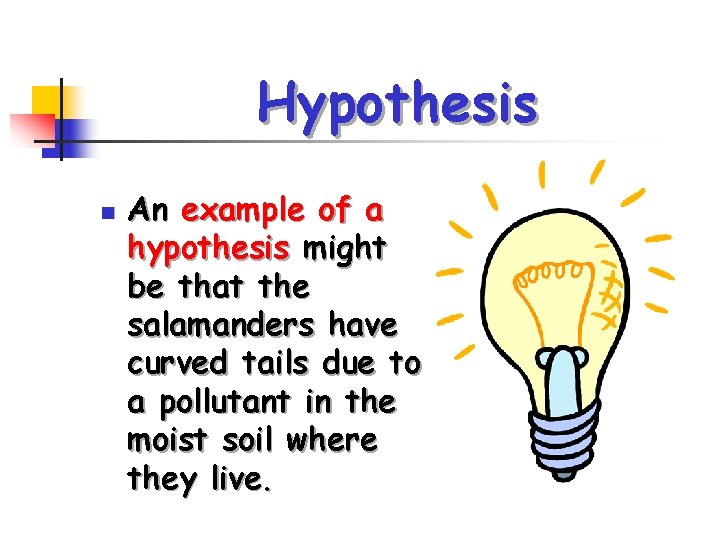 Hypothesis n An example of a hypothesis might be that the salamanders have curved