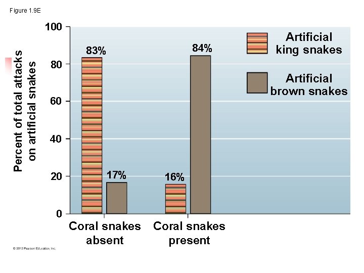 Figure 1. 9 E Percent of total attacks on artificial snakes 100 84% 83%