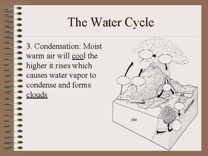 The Water Cycle 3. Condensation: Moist warm air will cool the higher it rises