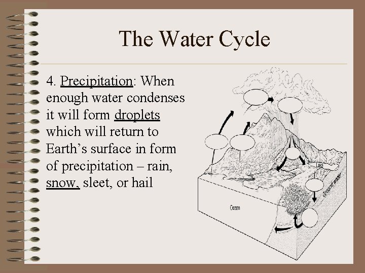 The Water Cycle 4. Precipitation: When enough water condenses it will form droplets which