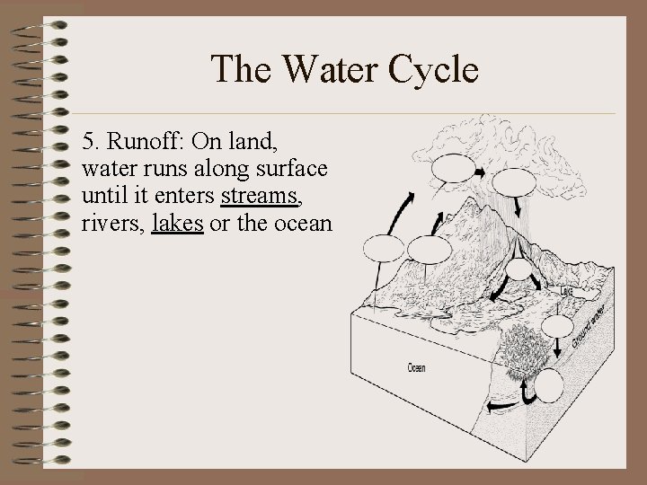 The Water Cycle 5. Runoff: On land, water runs along surface until it enters