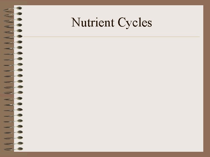 Nutrient Cycles 