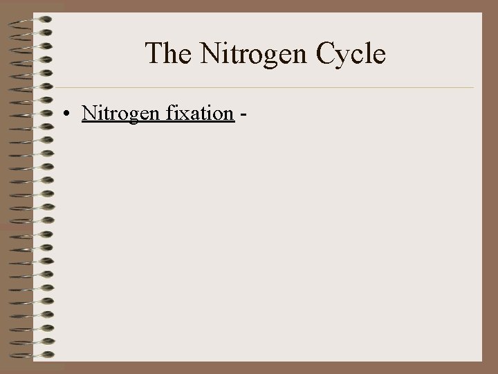 The Nitrogen Cycle • Nitrogen fixation - 