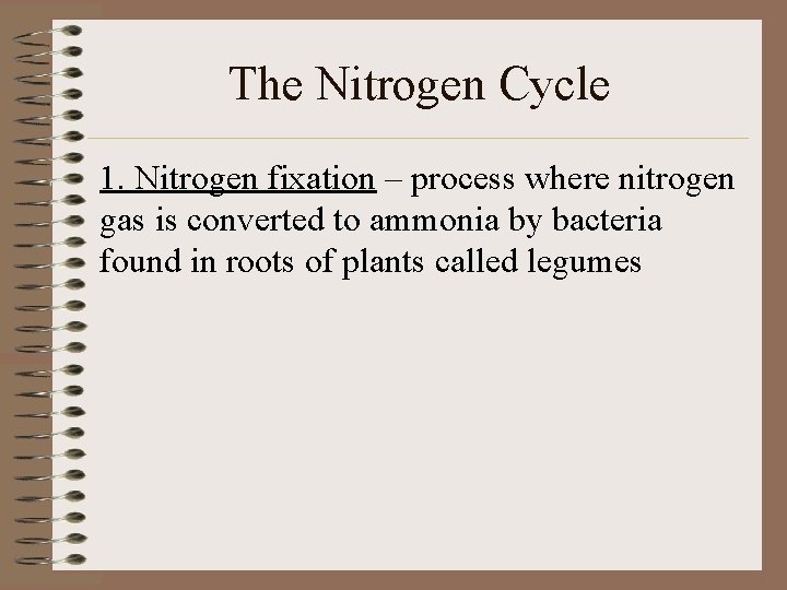 The Nitrogen Cycle 1. Nitrogen fixation – process where nitrogen gas is converted to