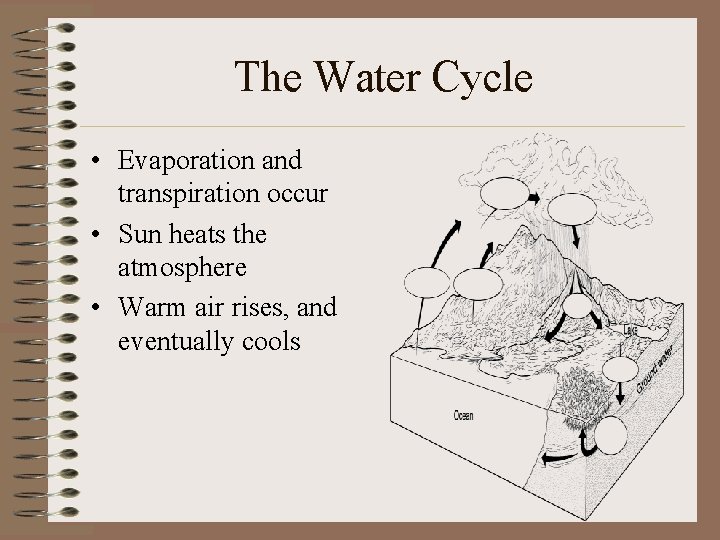 The Water Cycle • Evaporation and transpiration occur • Sun heats the atmosphere •