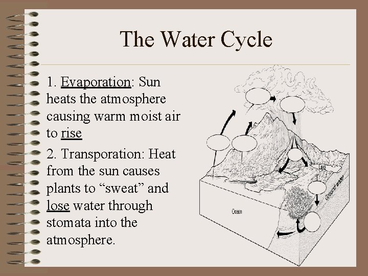 The Water Cycle 1. Evaporation: Sun heats the atmosphere causing warm moist air to