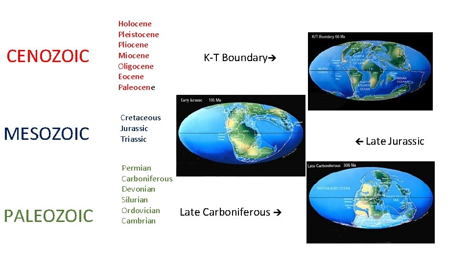 CENOZOIC Holocene Pleistocene Pliocene Miocene Oligocene Eocene Paleocene MESOZOIC Cretaceous Jurassic Triassic PALEOZOIC Permian