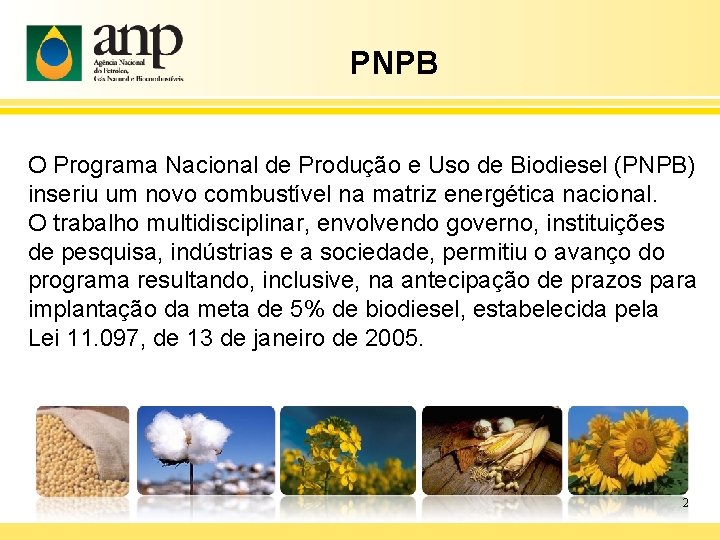 PNPB O Programa Nacional de Produção e Uso de Biodiesel (PNPB) inseriu um novo
