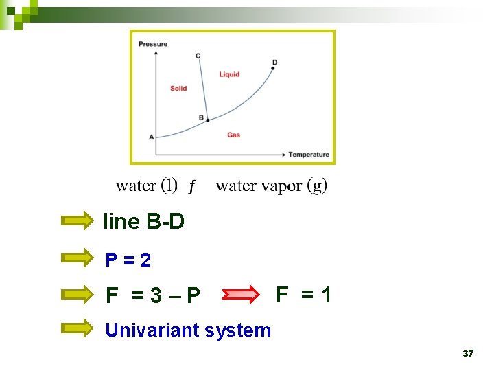 line B-D P=2 F =3–P F =1 Univariant system 37 