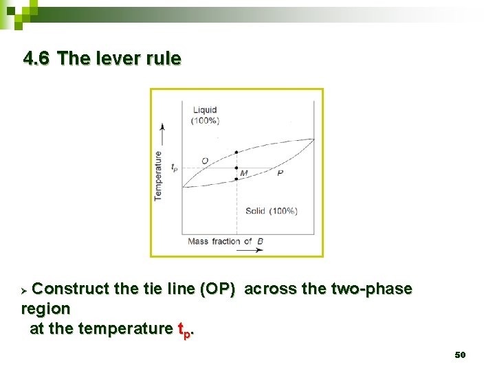 4. 6 The lever rule Construct the tie line (OP) across the two-phase region