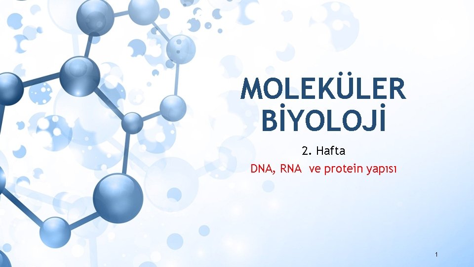 MOLEKÜLER BİYOLOJİ 2. Hafta DNA, RNA ve protein yapısı 1 