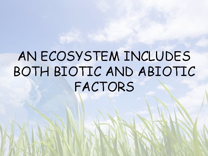 AN ECOSYSTEM INCLUDES BOTH BIOTIC AND ABIOTIC FACTORS 