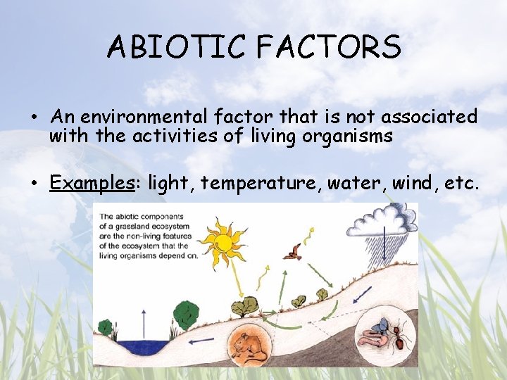 ABIOTIC FACTORS • An environmental factor that is not associated with the activities of