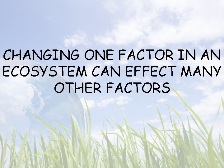 CHANGING ONE FACTOR IN AN ECOSYSTEM CAN EFFECT MANY OTHER FACTORS 