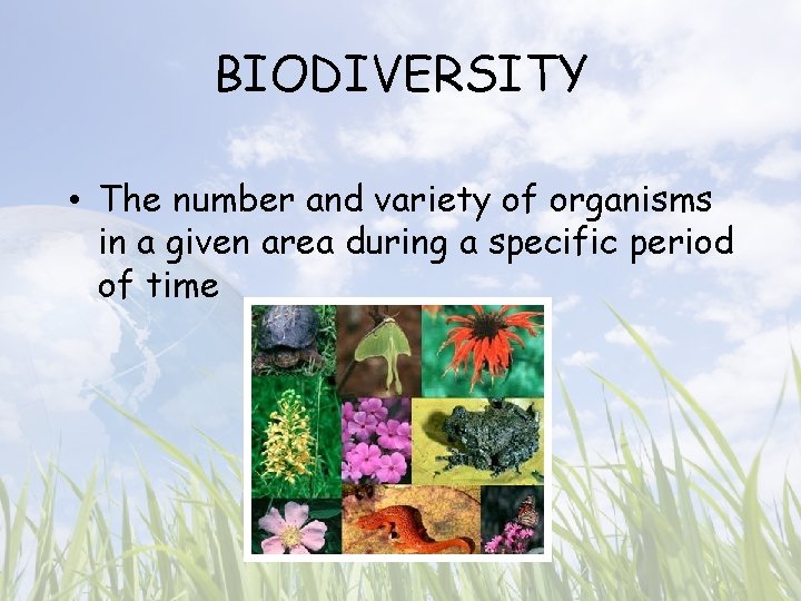 BIODIVERSITY • The number and variety of organisms in a given area during a