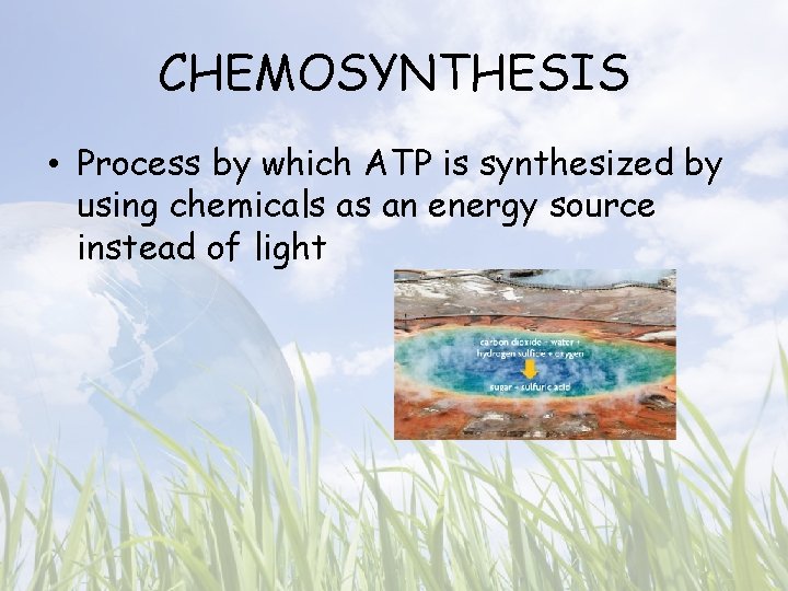 CHEMOSYNTHESIS • Process by which ATP is synthesized by using chemicals as an energy
