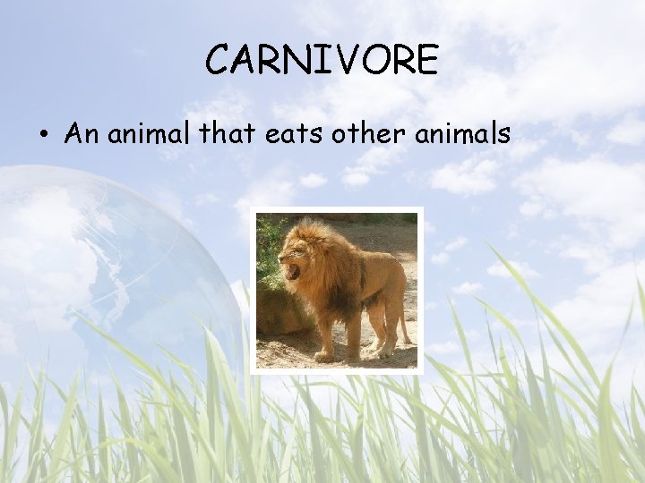 CARNIVORE • An animal that eats other animals 