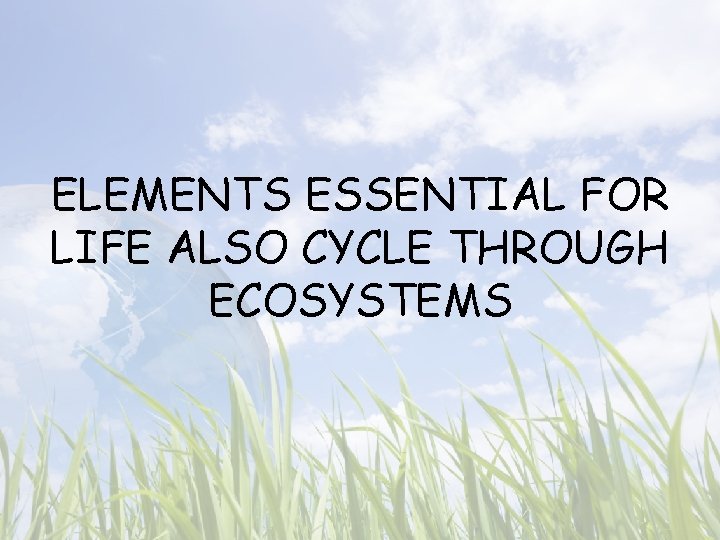 ELEMENTS ESSENTIAL FOR LIFE ALSO CYCLE THROUGH ECOSYSTEMS 