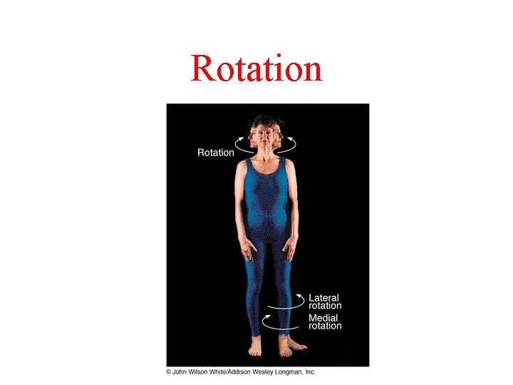Skeletal Muscle Review Anatomy and Physiology I Unit