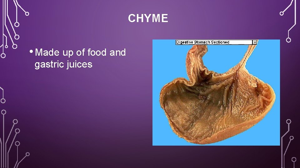 CHYME • Made up of food and gastric juices 