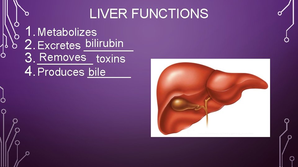 LIVER FUNCTIONS 1. Metabolizes bilirubin 2. Excretes ____ Removes toxins 3. _____ 4. Produces
