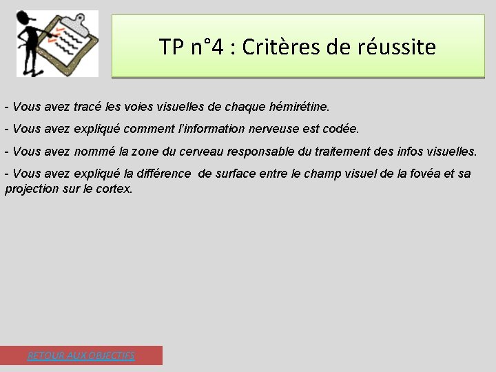 TP n° 4 : Critères de réussite - Vous avez tracé les voies visuelles