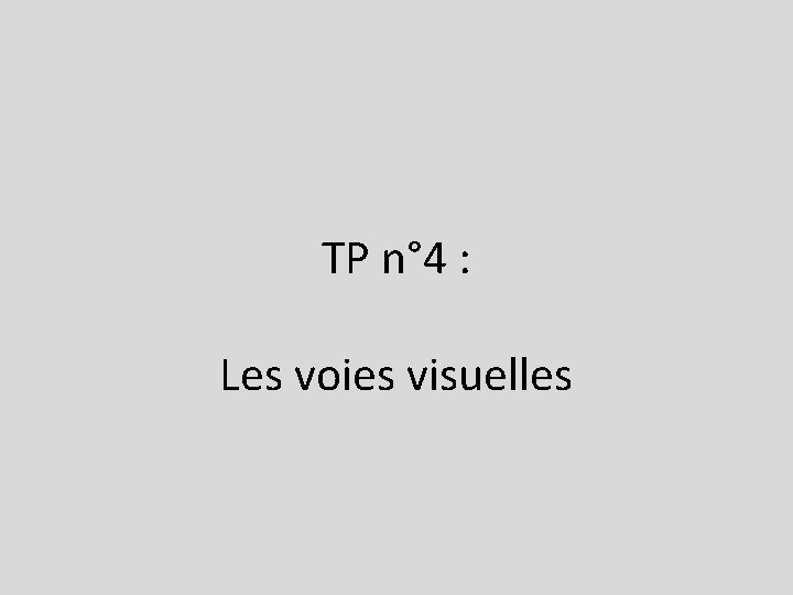 TP n° 4 : Les voies visuelles 