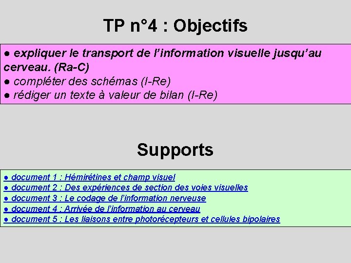 TP n° 4 : Objectifs ● expliquer le transport de l’information visuelle jusqu’au cerveau.