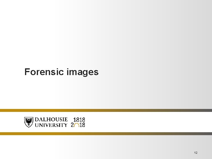 Forensic images 12 