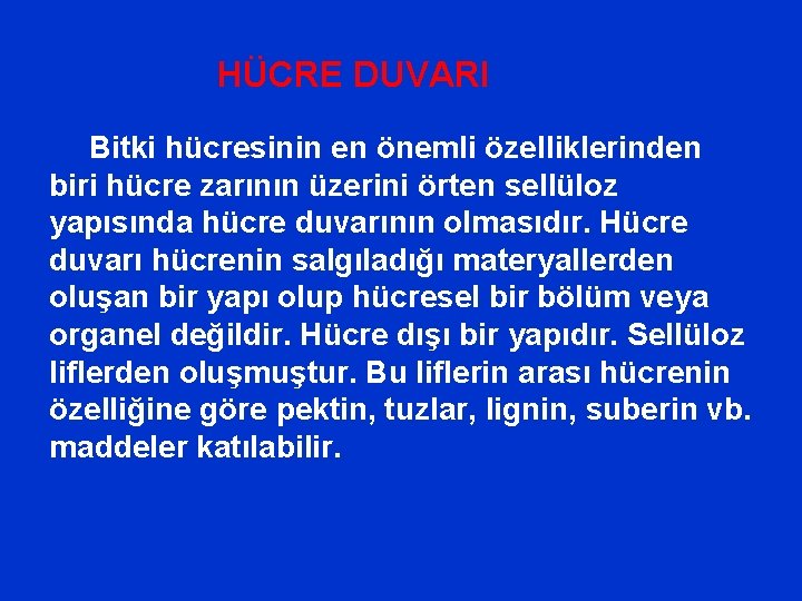 HÜCRE DUVARI Bitki hücresinin en önemli özelliklerinden biri hücre zarının üzerini örten sellüloz yapısında