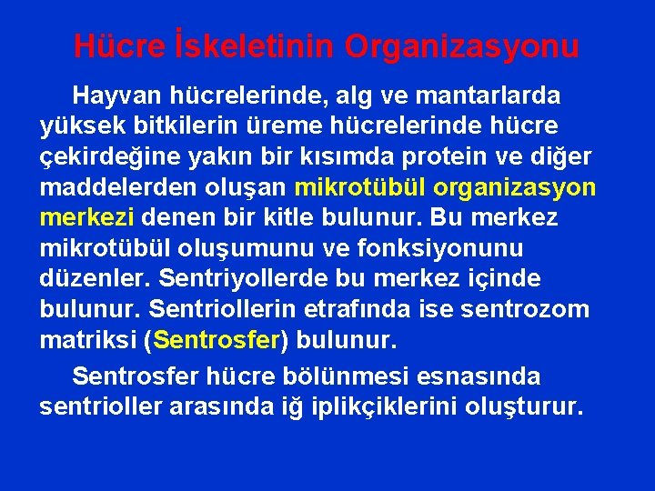 Hücre İskeletinin Organizasyonu Hayvan hücrelerinde, alg ve mantarlarda yüksek bitkilerin üreme hücrelerinde hücre çekirdeğine