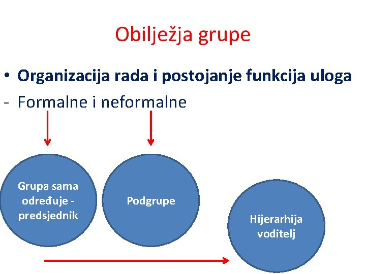 Obilježja grupe • Organizacija rada i postojanje funkcija uloga - Formalne i neformalne Grupa