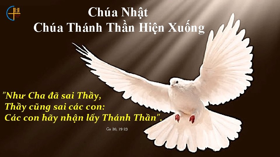 Chúa Nhật Chúa Thánh Thần Hiện Xuống "Như Cha đã sai Thầy, Thầy cũng