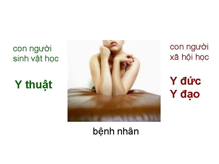 con người sinh vật học con người xã hội học Y thuật Y đức