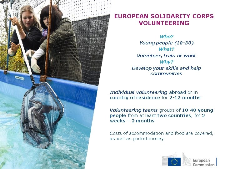 EUROPEAN SOLIDARITY CORPS VOLUNTEERING • Who? • Young people (18 -30) • What? •