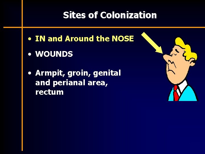 Sites of Colonization • IN and Around the NOSE • WOUNDS • Armpit, groin,