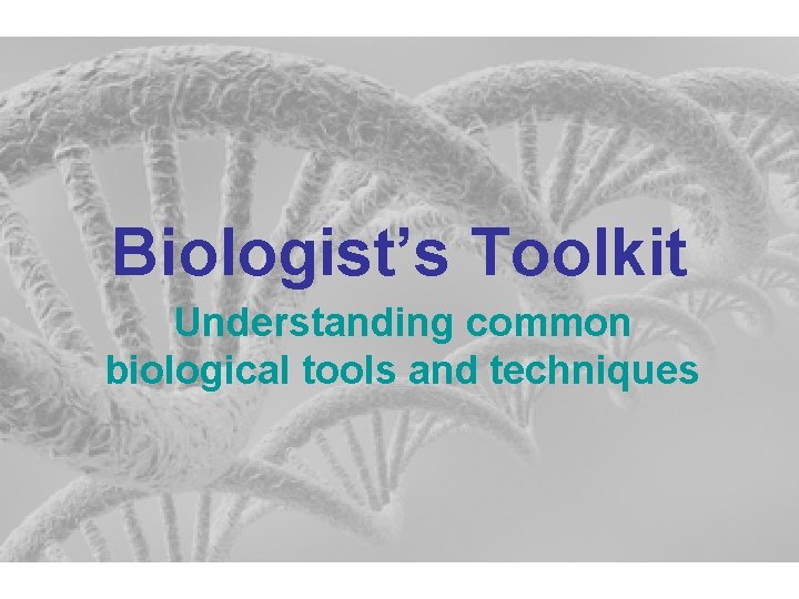 Biologist’s Toolkit Understanding common biological tools and techniques 