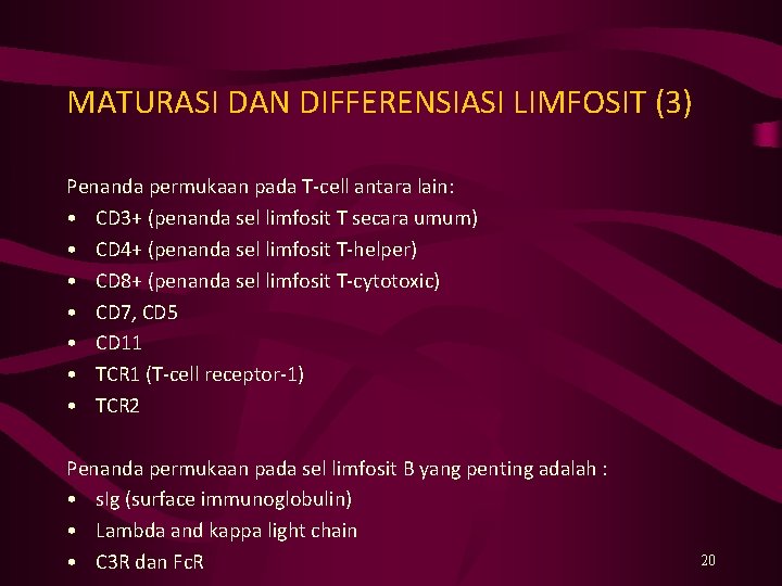 MATURASI DAN DIFFERENSIASI LIMFOSIT (3) Penanda permukaan pada T-cell antara lain: • CD 3+