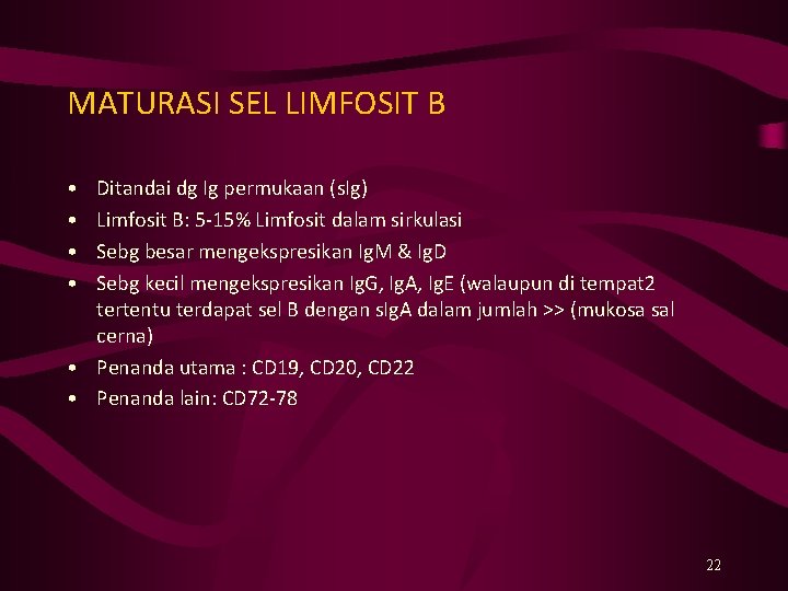 MATURASI SEL LIMFOSIT B • • Ditandai dg Ig permukaan (s. Ig) Limfosit B: