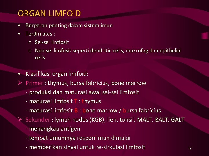 ORGAN LIMFOID • Berperan penting dalam sistem imun • Terdiri atas : o Sel-sel