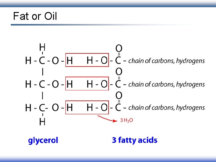 Fat or Oil 